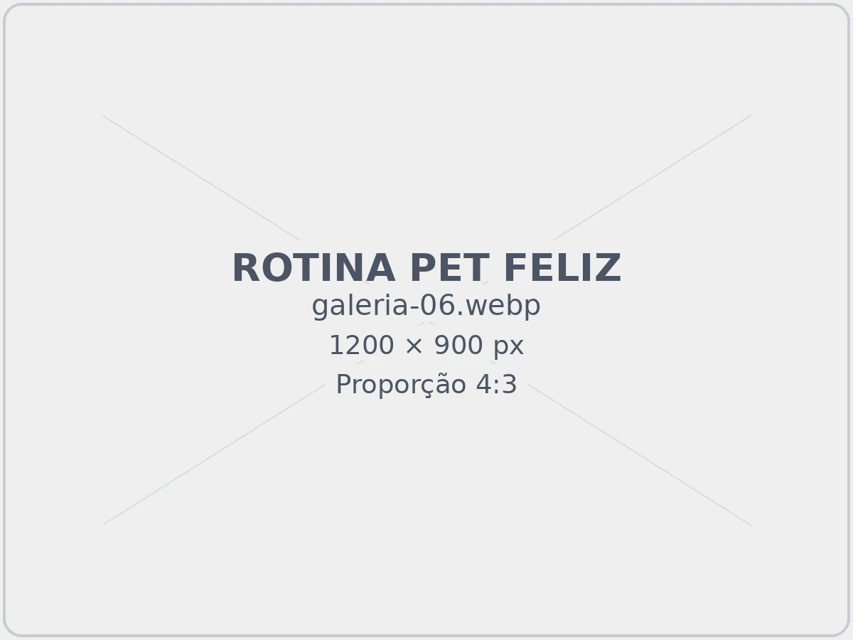 Imagem da rotina da Pet Feliz